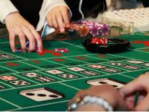 ayx手机版登录入口最新版