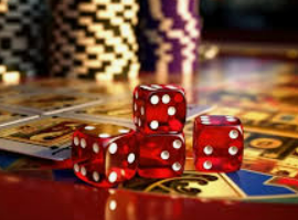 ayx手机版登录入口2024最新版